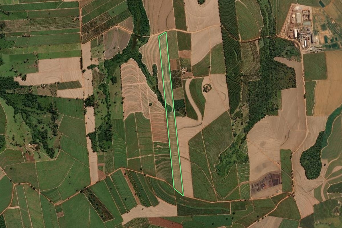 Imagem de satélite do imóvel rural em Urupês (SP), com o contorno declarado no CAR desenhado por cima.