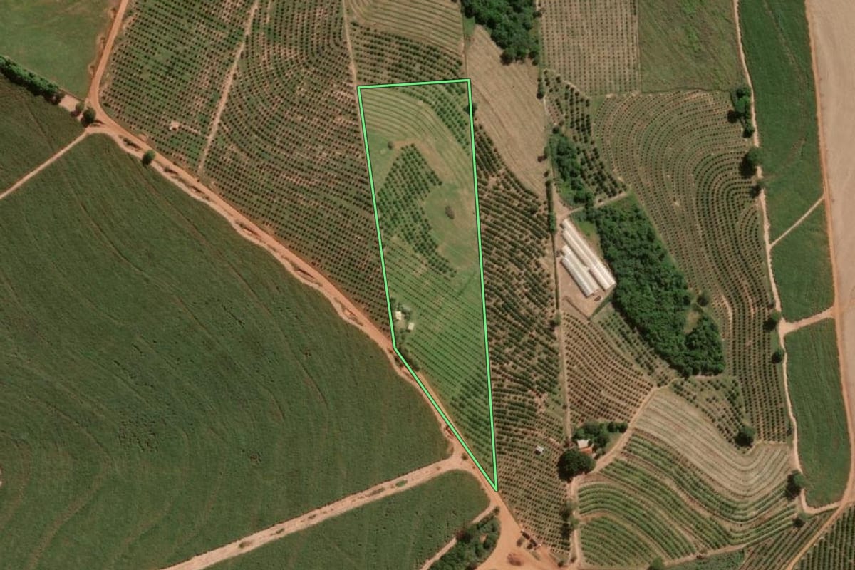 Imagem de satélite do imóvel rural em Urupês (SP), com o contorno declarado no CAR desenhado por cima.