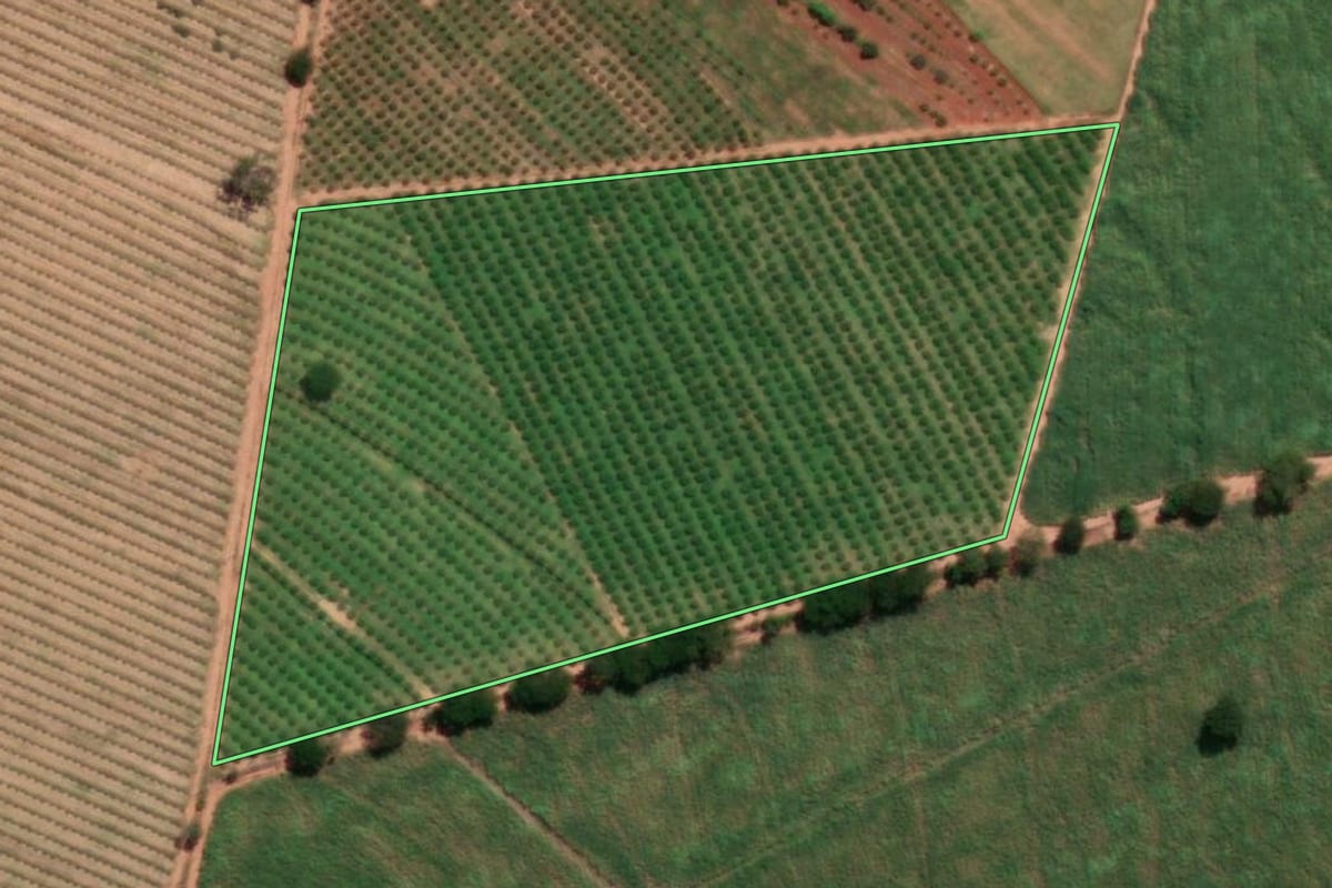 Imagem de satélite do imóvel rural em Urupês (SP), com o contorno declarado no CAR desenhado por cima.