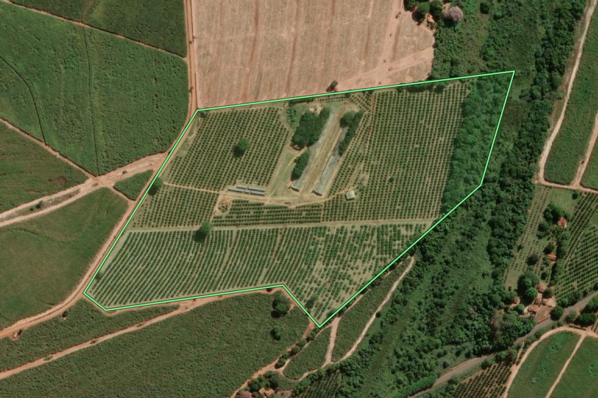 Imagem de satélite do imóvel rural em Urupês (SP), com o contorno declarado no CAR desenhado por cima.