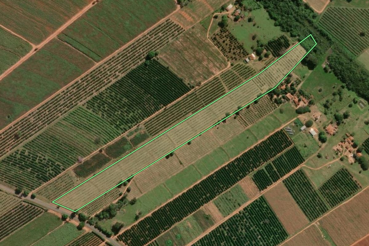 Imagem de satélite do imóvel rural em Urupês (SP), com o contorno declarado no CAR desenhado por cima.