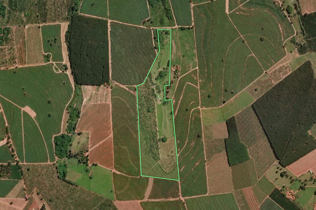 Imagem de satélite do imóvel rural em Urupês (SP), com o contorno declarado no CAR desenhado por cima.