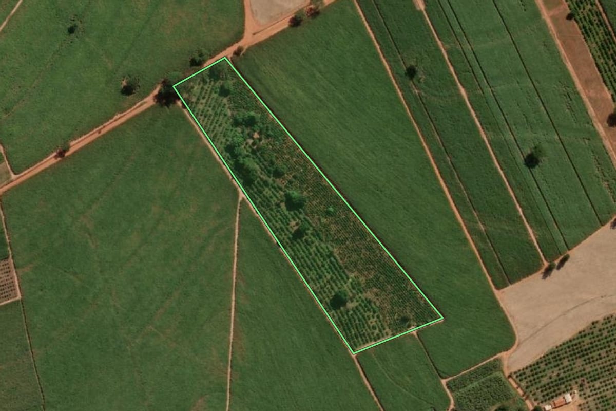 Imagem de satélite do imóvel rural em Urupês (SP), com o contorno declarado no CAR desenhado por cima.