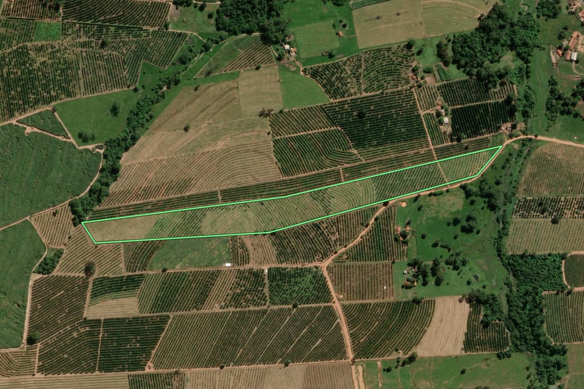Imagem de satélite do imóvel rural em Urupês (SP), com o contorno declarado no CAR desenhado por cima.