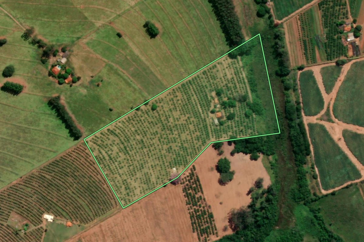 Imagem de satélite do imóvel rural em Urupês (SP), com o contorno declarado no CAR desenhado por cima.