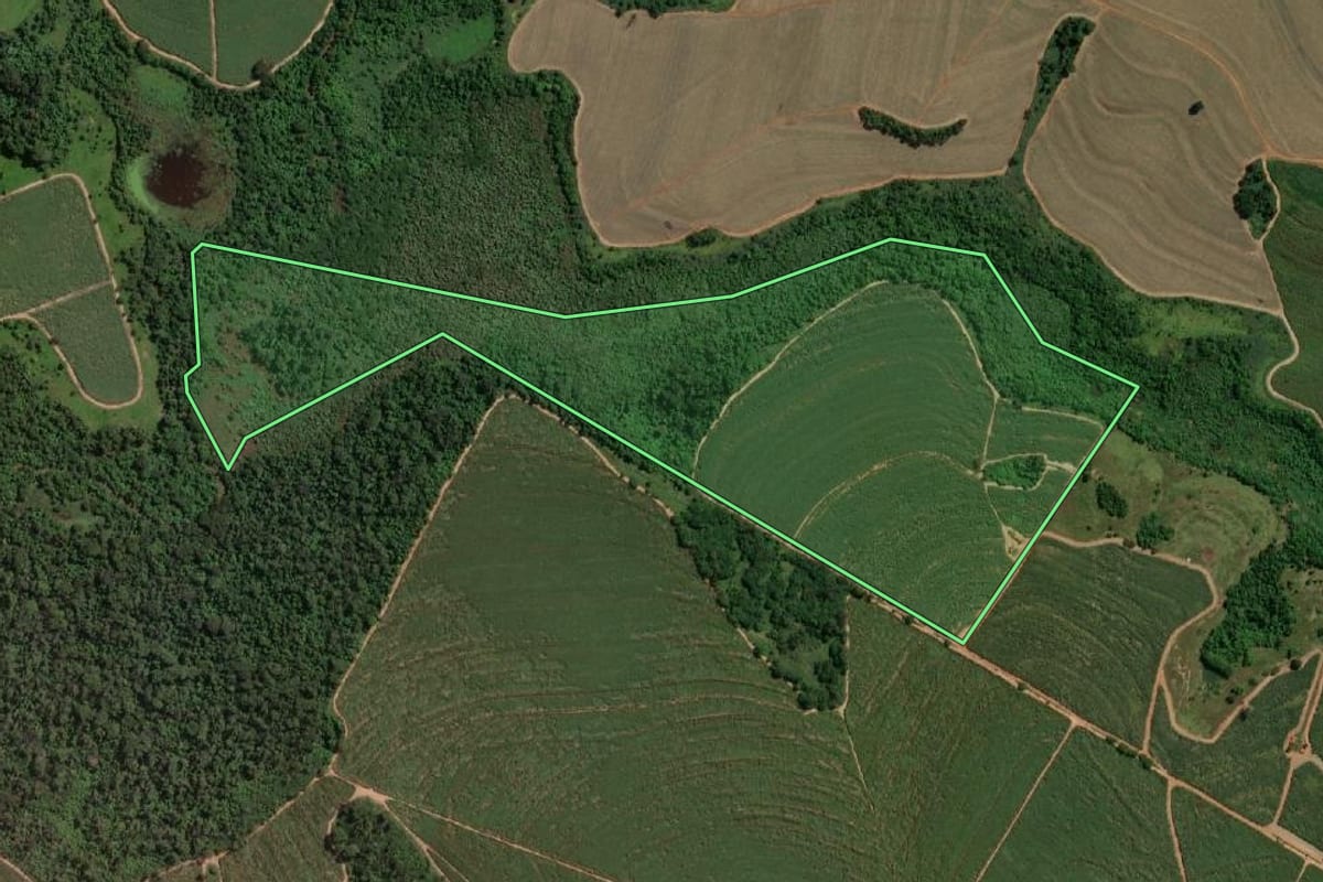 Imagem de satélite do imóvel rural em Urupês (SP), com o contorno declarado no CAR desenhado por cima.