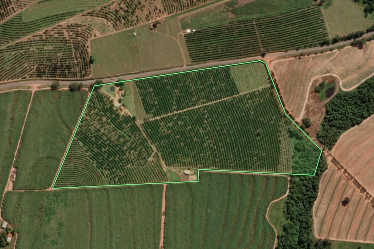 Imagem de satélite do imóvel rural em Urupês (SP), com o contorno declarado no CAR desenhado por cima.
