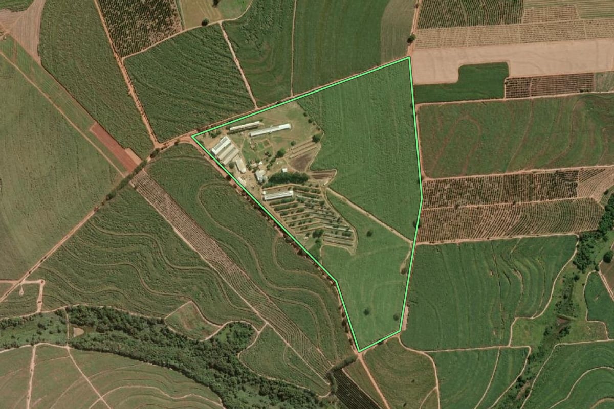 Imagem de satélite do imóvel rural em Urupês (SP), com o contorno declarado no CAR desenhado por cima.