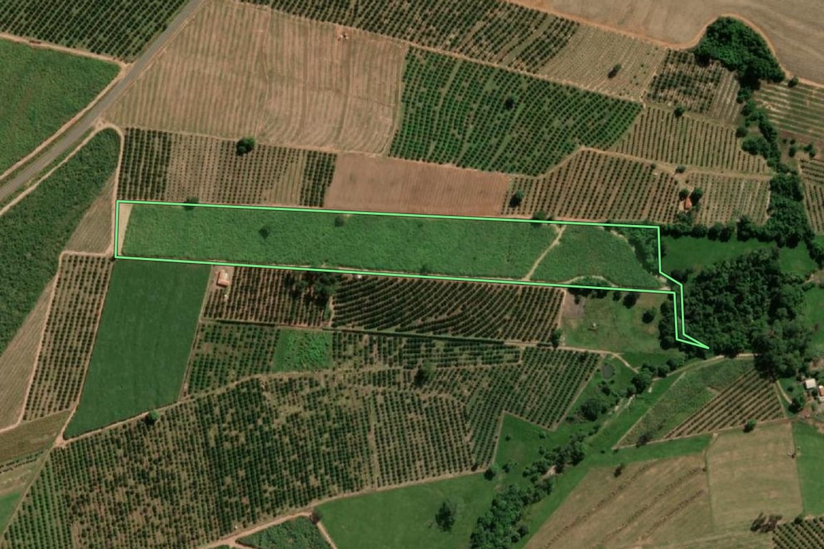 Imagem de satélite do imóvel rural em Urupês (SP), com o contorno declarado no CAR desenhado por cima.
