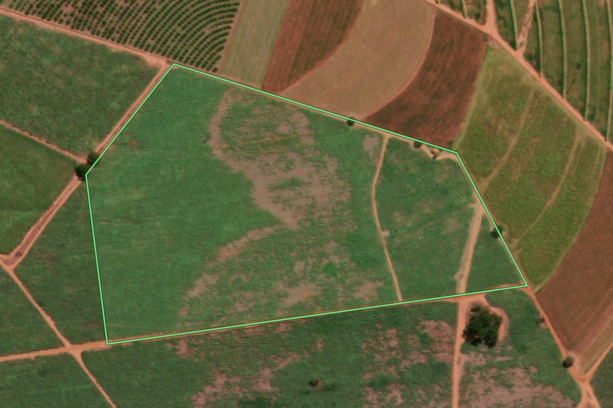 Imagem de satélite do imóvel rural em Urupês (SP), com o contorno declarado no CAR desenhado por cima.