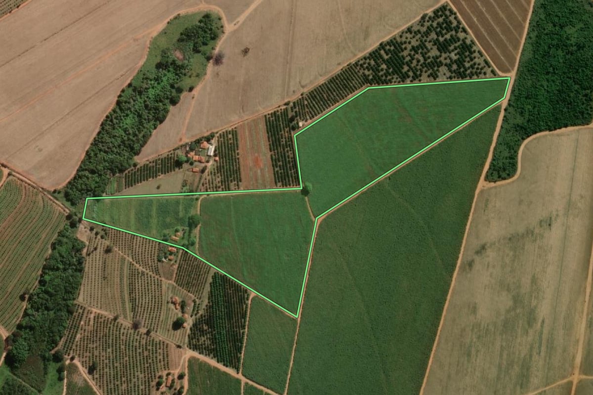 Imagem de satélite do imóvel rural em Urupês (SP), com o contorno declarado no CAR desenhado por cima.