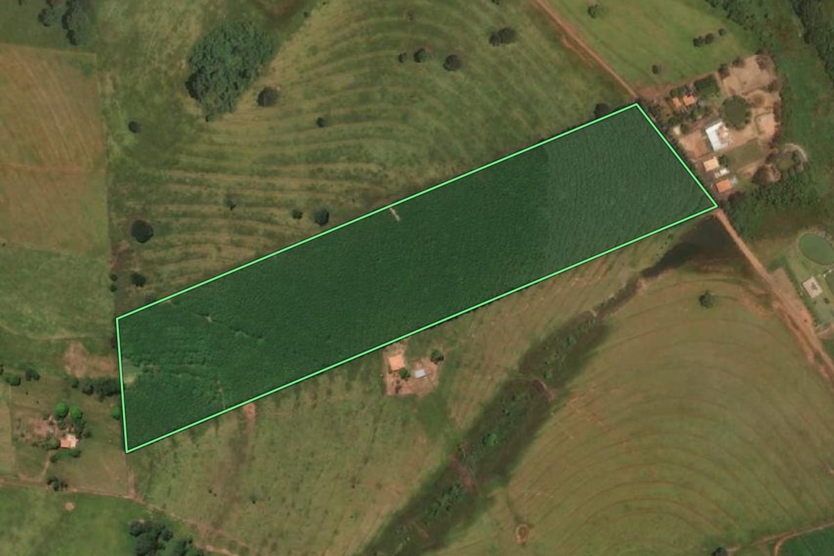 Imagem de satélite do imóvel rural em Valentim Gentil (SP), com o contorno declarado no CAR desenhado por cima.
