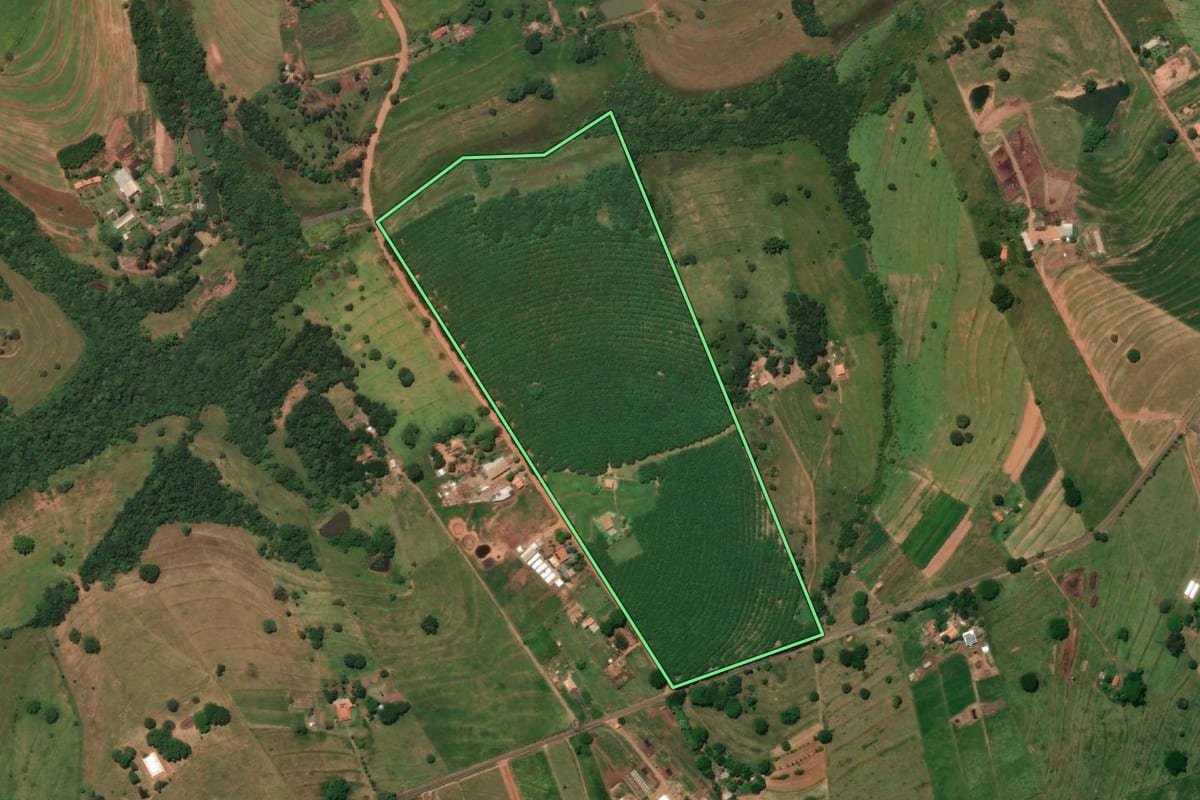 Imagem de satélite do imóvel rural em Valentim Gentil (SP), com o contorno declarado no CAR desenhado por cima.