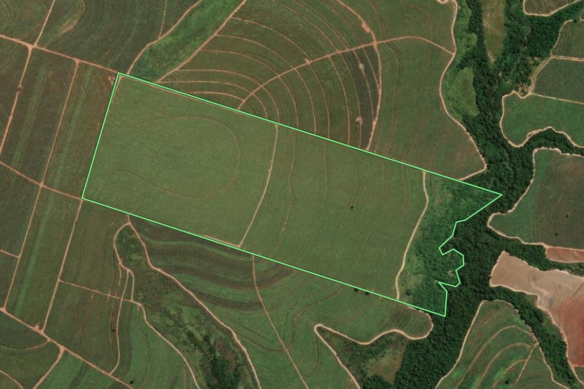 Imagem de satélite do imóvel rural em Valparaíso (SP), com o contorno declarado no CAR desenhado por cima.