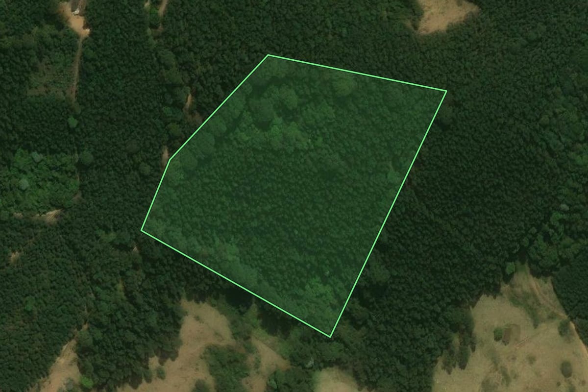 Imagem de satélite do imóvel rural em Vargem (SP), com o contorno declarado no CAR desenhado por cima.