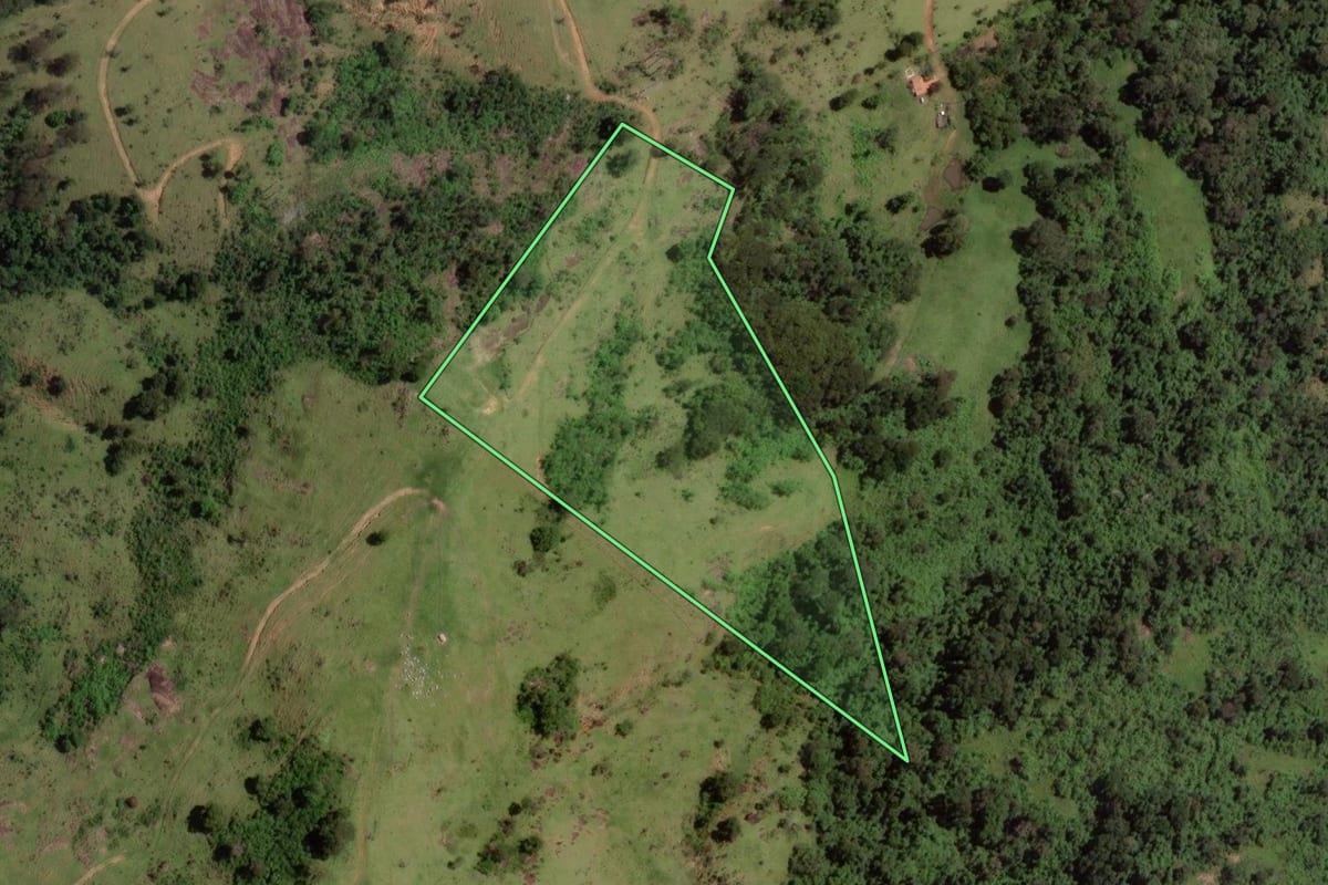 Imagem de satélite do imóvel rural em Vargem (SP), com o contorno declarado no CAR desenhado por cima.