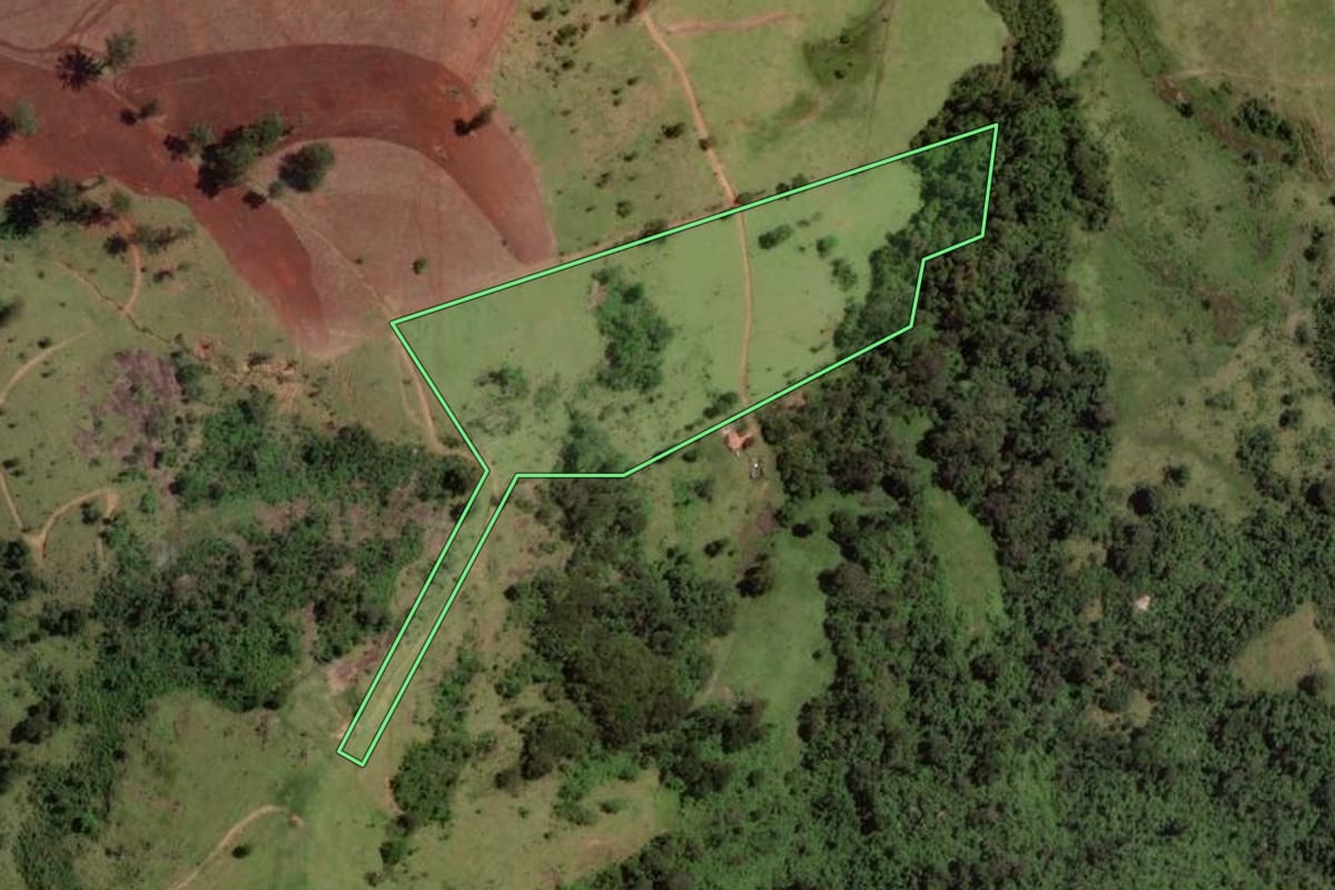 Imagem de satélite do imóvel rural em Vargem (SP), com o contorno declarado no CAR desenhado por cima.