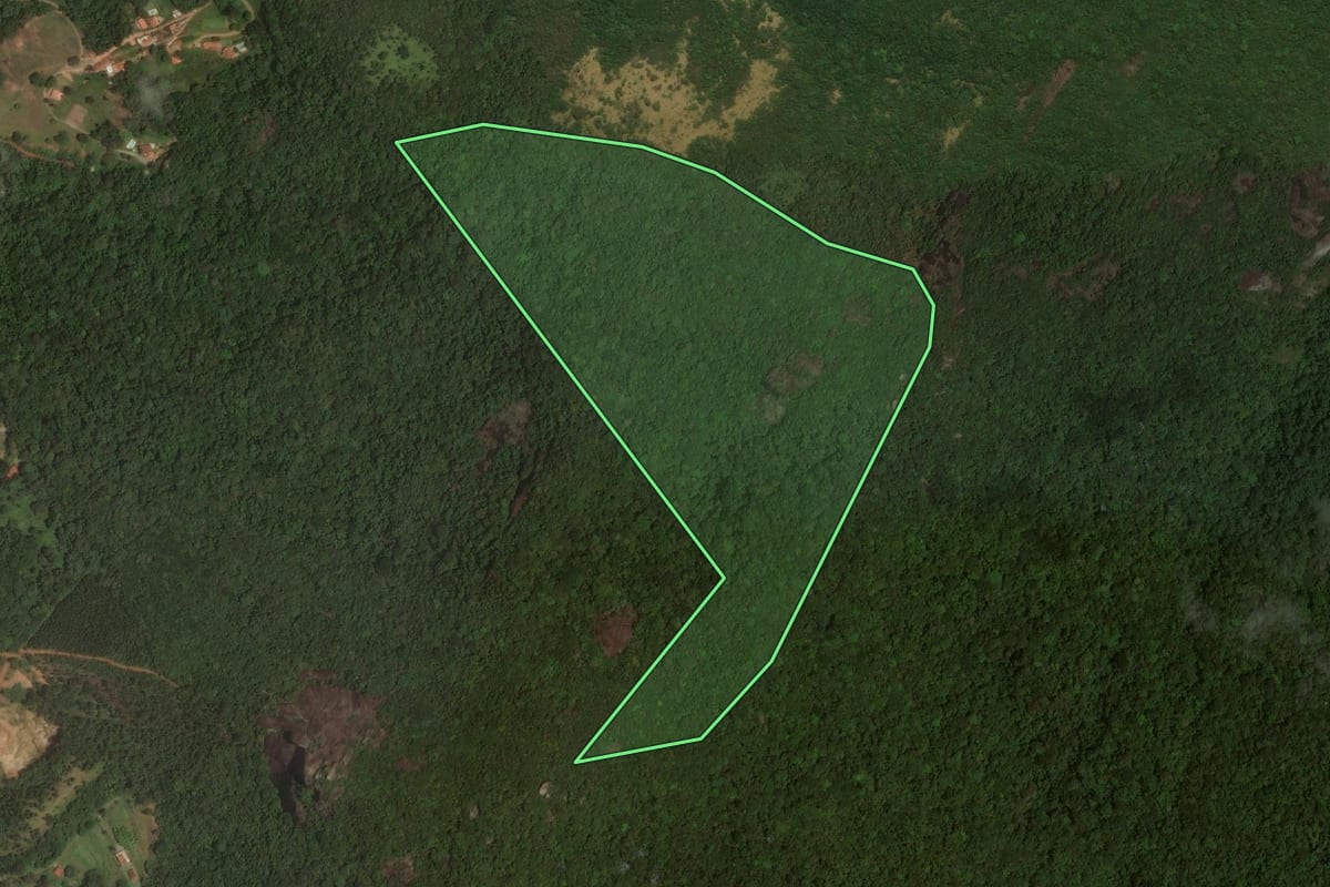 Imagem de satélite do imóvel rural em Vargem (SP), com o contorno declarado no CAR desenhado por cima.