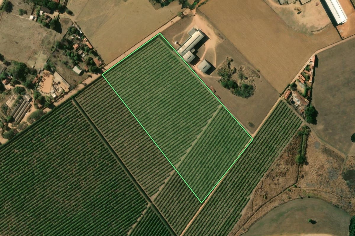 Imagem de satélite do imóvel rural em Vargem Grande do Sul (SP), com o contorno declarado no CAR desenhado por cima.