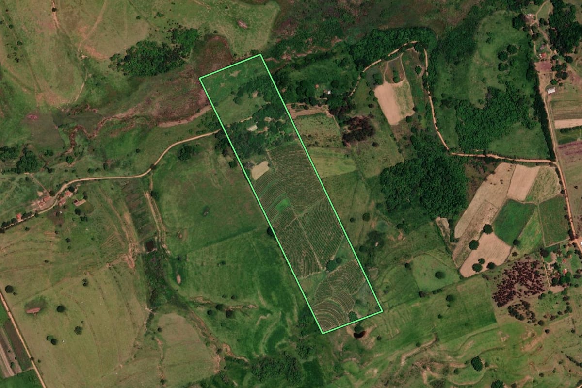 Imagem de satélite do imóvel rural em Vera Cruz (SP), com o contorno declarado no CAR desenhado por cima.