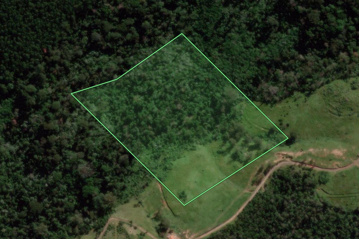 Imagem de satélite do imóvel rural em Vinhedo (SP), com o contorno declarado no CAR desenhado por cima.