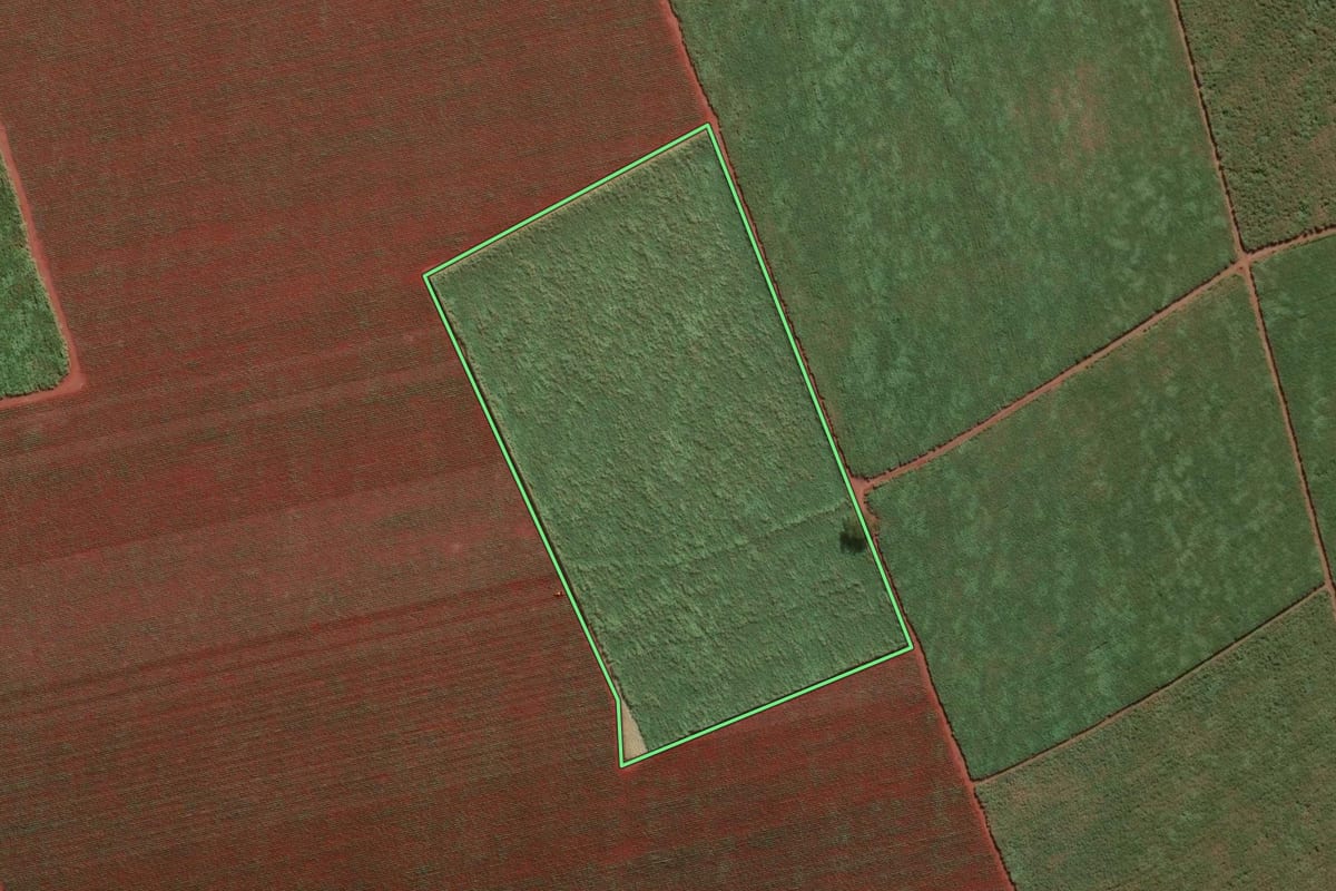 Imagem de satélite do imóvel rural em Viradouro (SP), com o contorno declarado no CAR desenhado por cima.