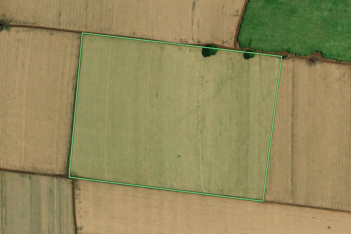 Imagem de satélite do imóvel rural em Viradouro (SP), com o contorno declarado no CAR desenhado por cima.