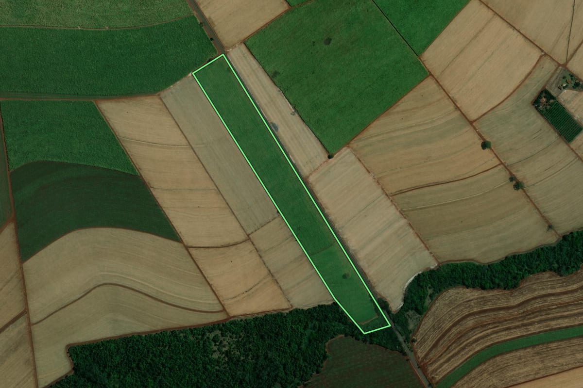 Imagem de satélite do imóvel rural em Viradouro (SP), com o contorno declarado no CAR desenhado por cima.