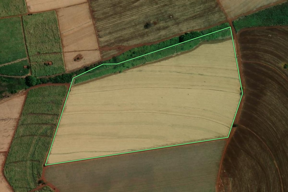Imagem de satélite do imóvel rural em Viradouro (SP), com o contorno declarado no CAR desenhado por cima.