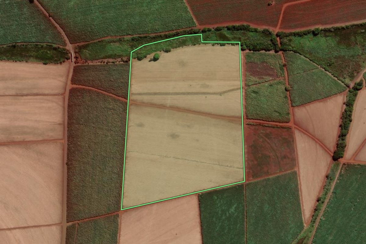 Imagem de satélite do imóvel rural em Viradouro (SP), com o contorno declarado no CAR desenhado por cima.