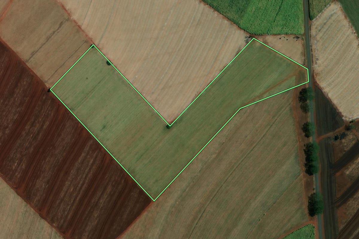 Imagem de satélite do imóvel rural em Viradouro (SP), com o contorno declarado no CAR desenhado por cima.