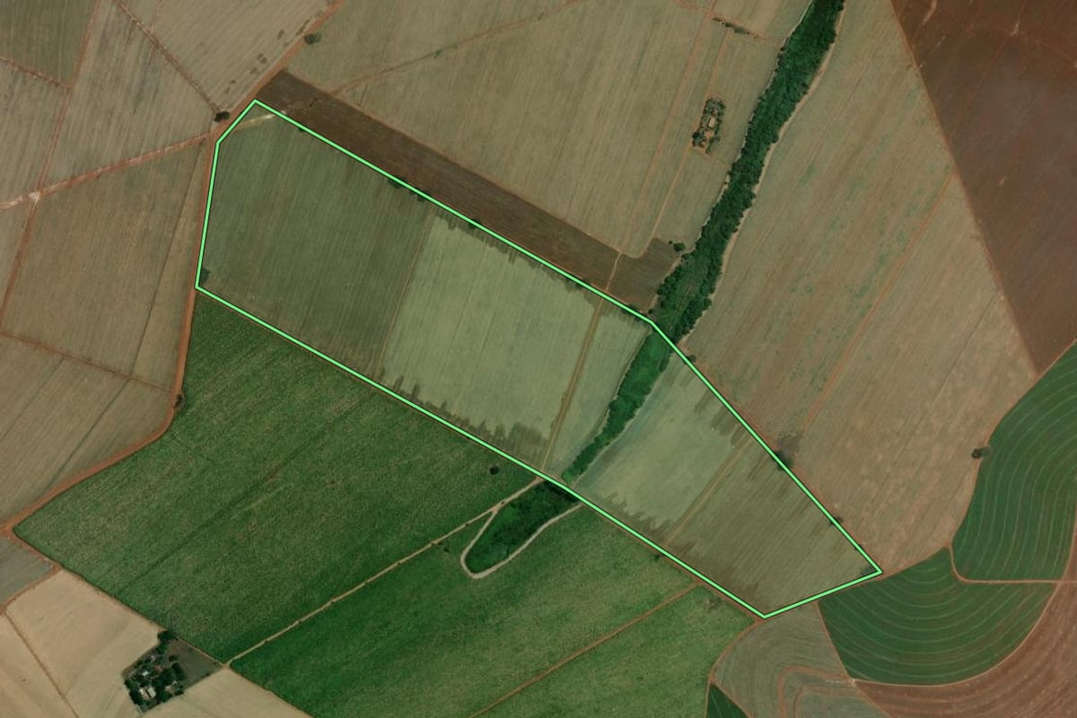 Imagem de satélite do imóvel rural em Viradouro (SP), com o contorno declarado no CAR desenhado por cima.