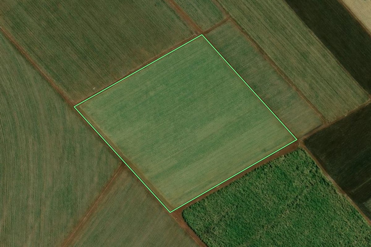 Imagem de satélite do imóvel rural em Viradouro (SP), com o contorno declarado no CAR desenhado por cima.