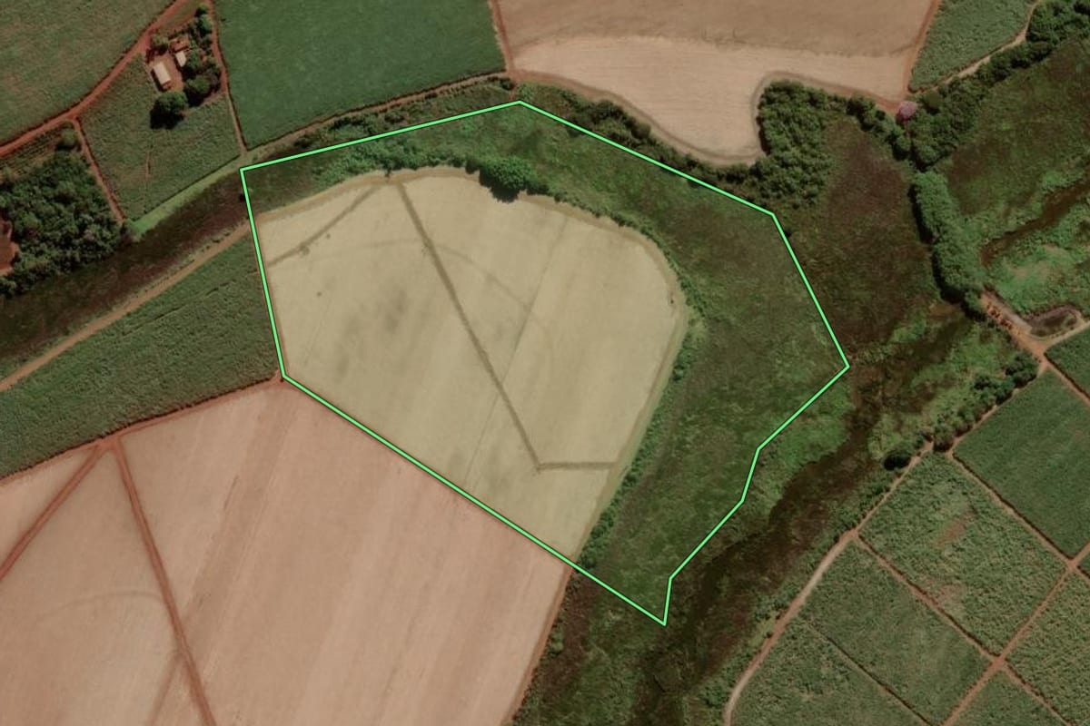 Imagem de satélite do imóvel rural em Viradouro (SP), com o contorno declarado no CAR desenhado por cima.