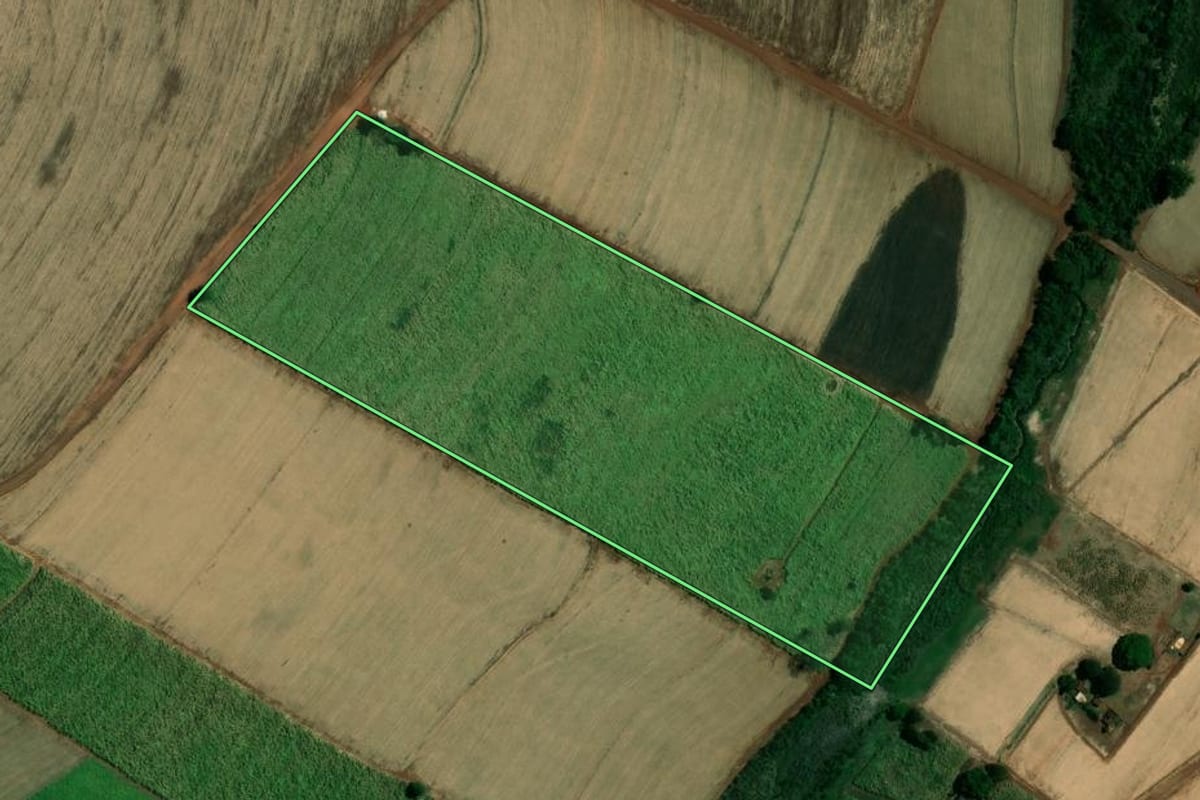 Imagem de satélite do imóvel rural em Viradouro (SP), com o contorno declarado no CAR desenhado por cima.