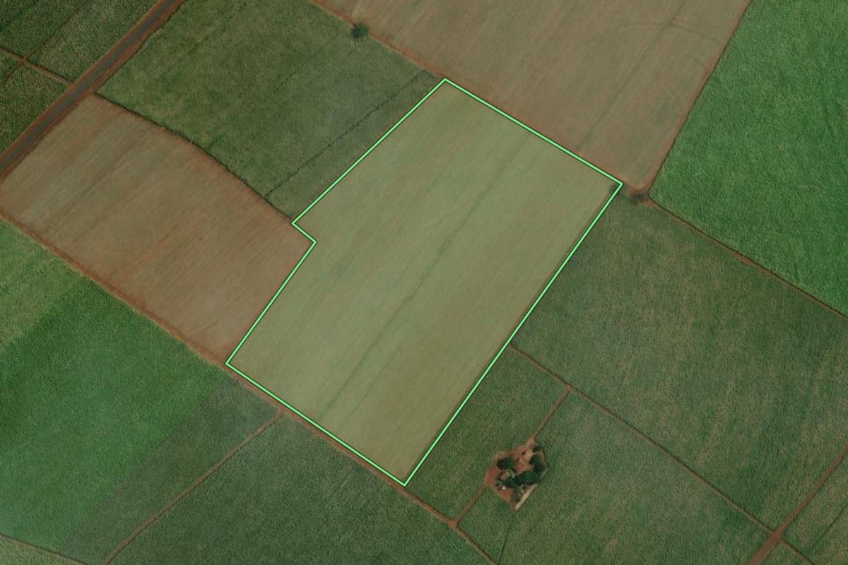 Imagem de satélite do imóvel rural em Viradouro (SP), com o contorno declarado no CAR desenhado por cima.