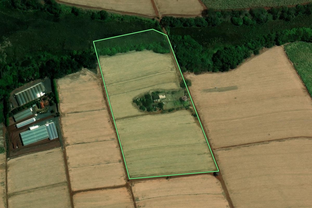 Imagem de satélite do imóvel rural em Viradouro (SP), com o contorno declarado no CAR desenhado por cima.