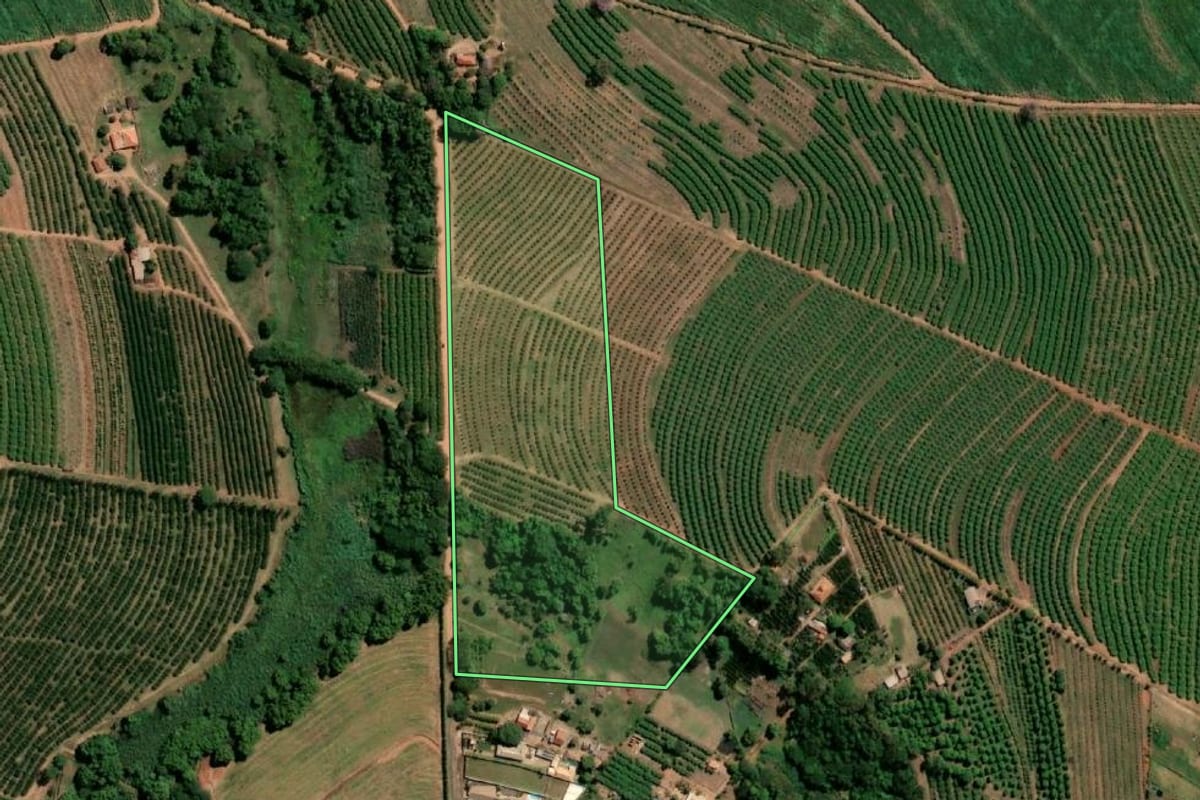 Imagem de satélite do imóvel rural em Vista Alegre do Alto (SP), com o contorno declarado no CAR desenhado por cima.