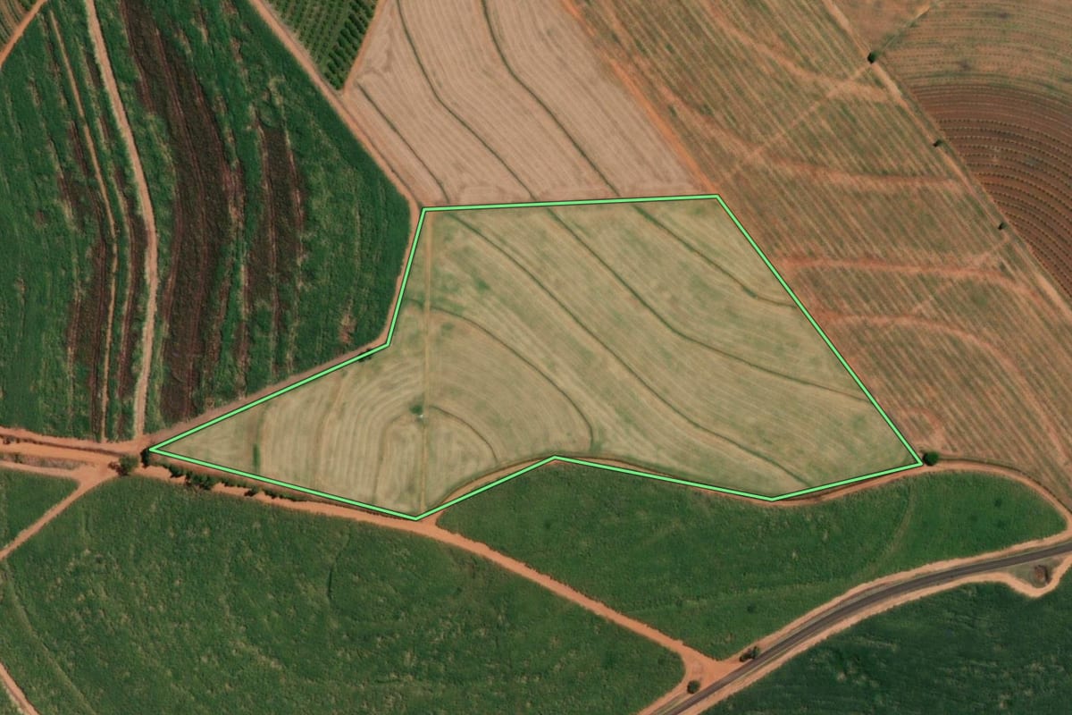 Imagem de satélite do imóvel rural em Vista Alegre do Alto (SP), com o contorno declarado no CAR desenhado por cima.