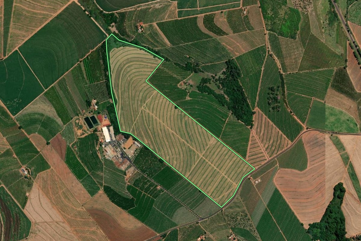 Imagem de satélite do imóvel rural em Vista Alegre do Alto (SP), com o contorno declarado no CAR desenhado por cima.
