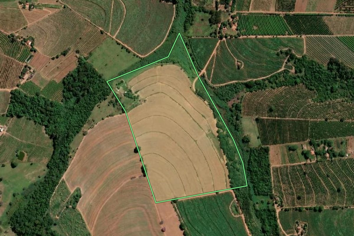 Imagem de satélite do imóvel rural em Vista Alegre do Alto (SP), com o contorno declarado no CAR desenhado por cima.
