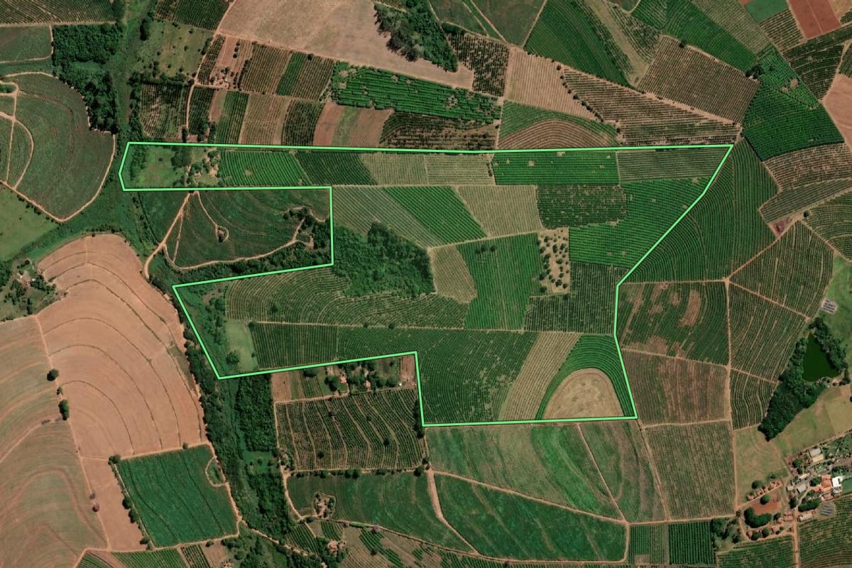 Imagem de satélite do imóvel rural em Vista Alegre do Alto (SP), com o contorno declarado no CAR desenhado por cima.