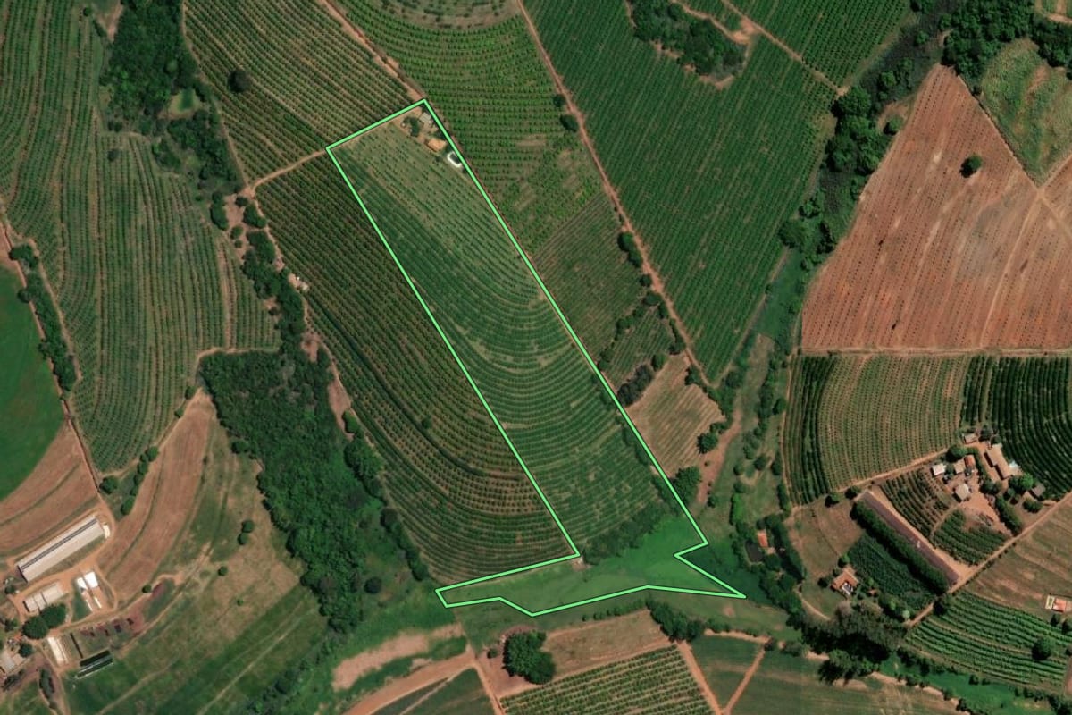 Imagem de satélite do imóvel rural em Vista Alegre do Alto (SP), com o contorno declarado no CAR desenhado por cima.