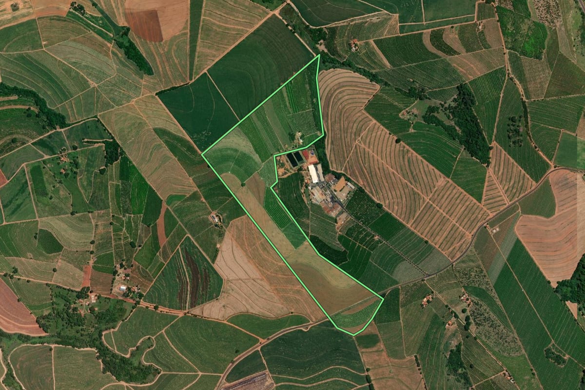 Imagem de satélite do imóvel rural em Vista Alegre do Alto (SP), com o contorno declarado no CAR desenhado por cima.
