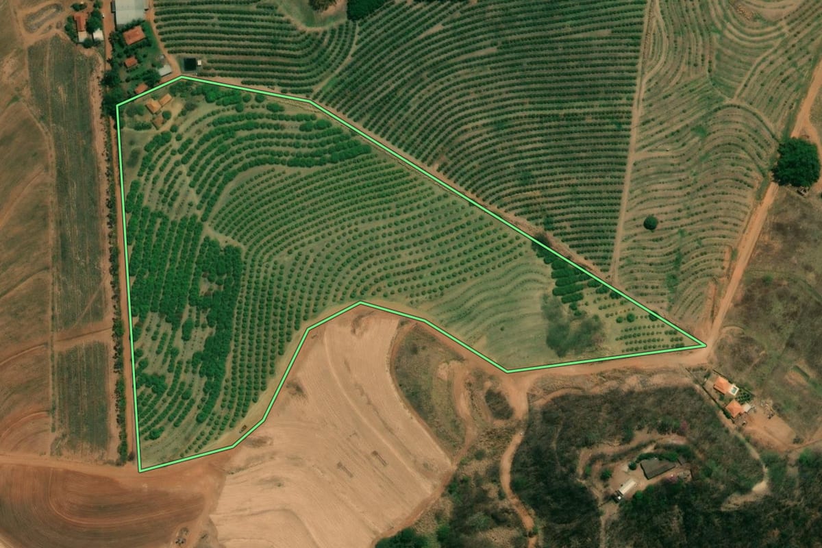 Imagem de satélite do imóvel rural em Vista Alegre do Alto (SP), com o contorno declarado no CAR desenhado por cima.