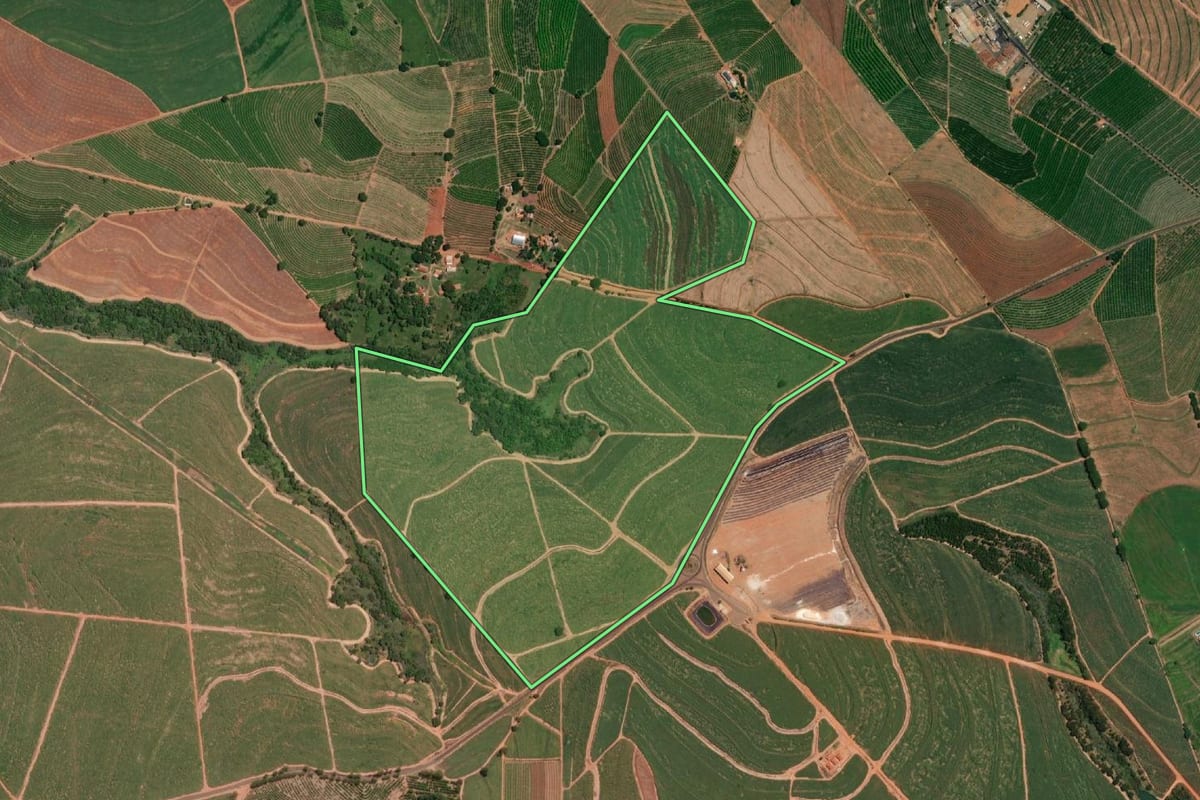 Imagem de satélite do imóvel rural em Vista Alegre do Alto (SP), com o contorno declarado no CAR desenhado por cima.