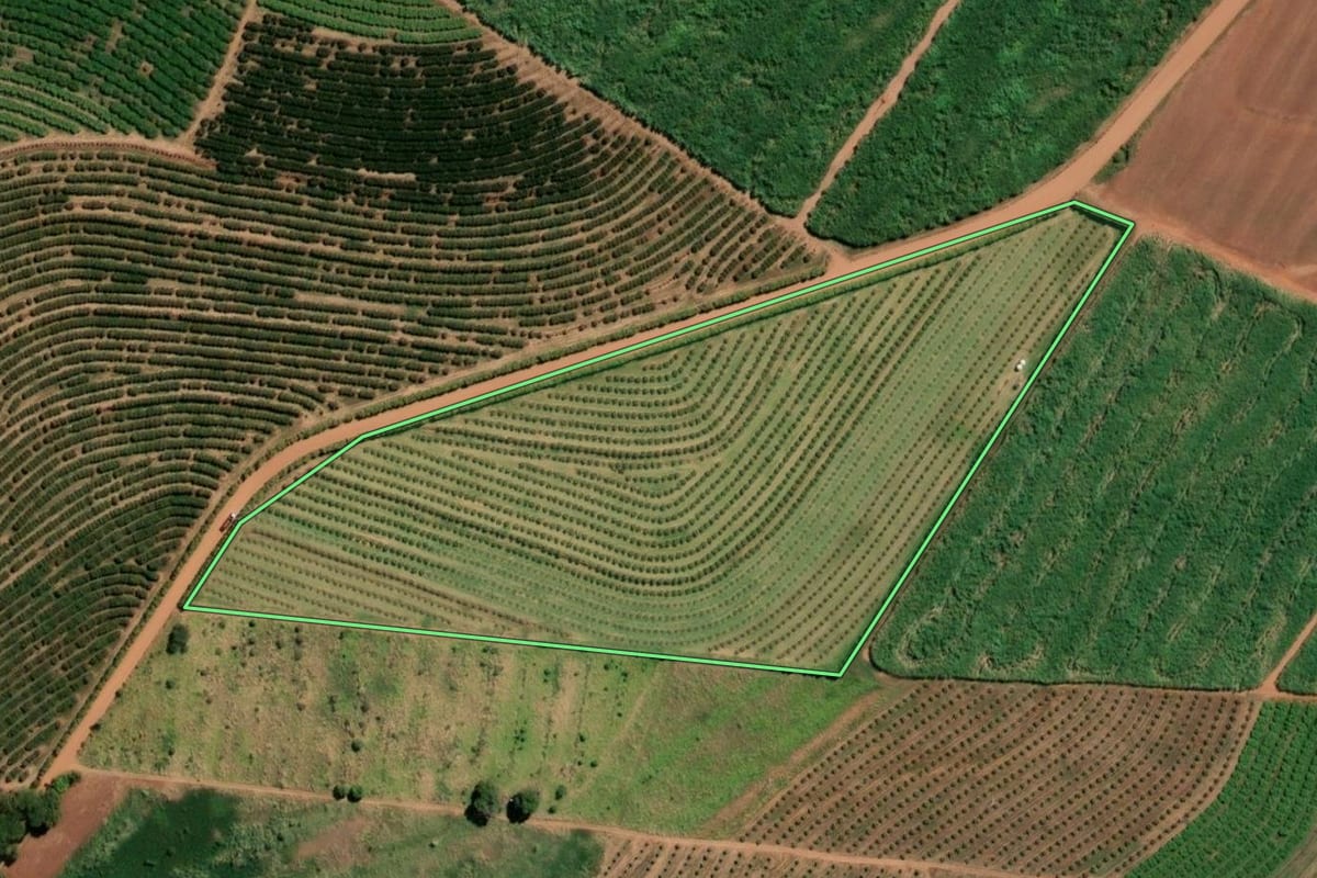 Imagem de satélite do imóvel rural em Vista Alegre do Alto (SP), com o contorno declarado no CAR desenhado por cima.