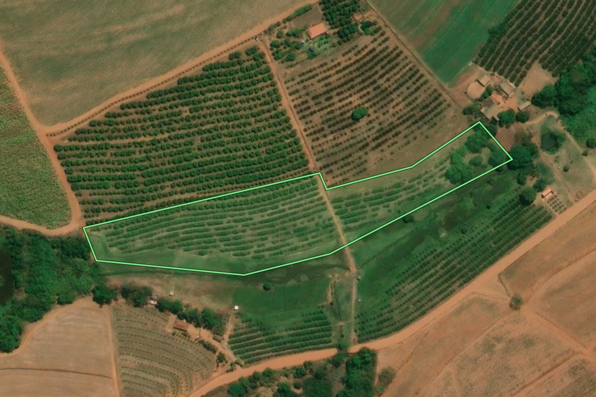 Imagem de satélite do imóvel rural em Vista Alegre do Alto (SP), com o contorno declarado no CAR desenhado por cima.
