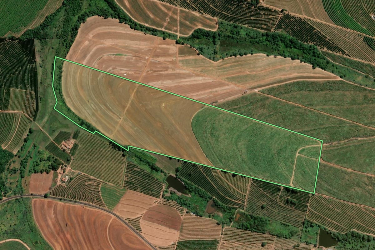 Imagem de satélite do imóvel rural em Vista Alegre do Alto (SP), com o contorno declarado no CAR desenhado por cima.