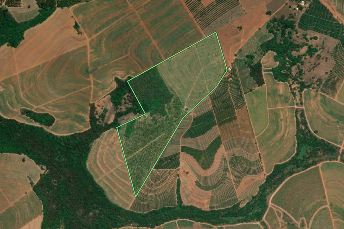 Imagem de satélite do imóvel rural em Vista Alegre do Alto (SP), com o contorno declarado no CAR desenhado por cima.